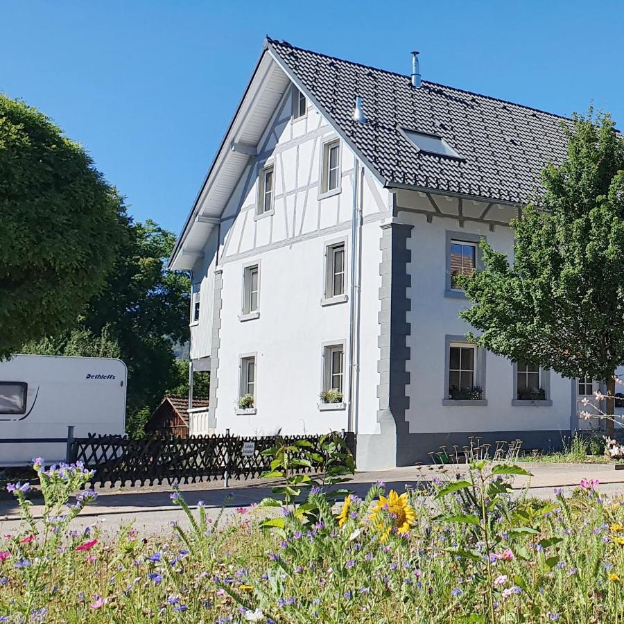 Apartment Suedwind - Beautiful Premium Apartment With 2 Bedrooms Near Rhine Falls & Zurich Airport In Klettgau Weisweil  Buitenkant foto
